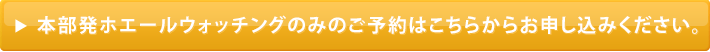 本部発ホエールウォッチングのみのご予約はこちらからお申し込みください。